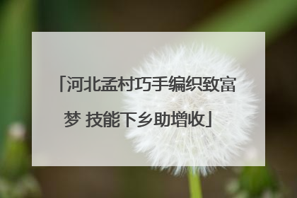 河北孟村巧手编织致富梦 技能下乡助增收