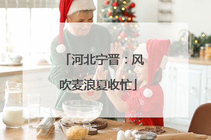 河北宁晋：风吹麦浪夏收忙