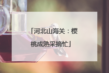 河北山海关：樱桃成熟采摘忙