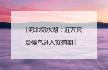 河北衡水湖：近万只夏候鸟进入繁殖期