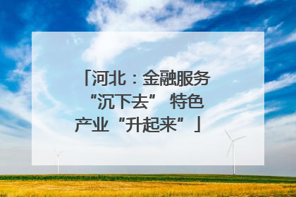 河北：金融服务“沉下去” 特色产业“升起来”