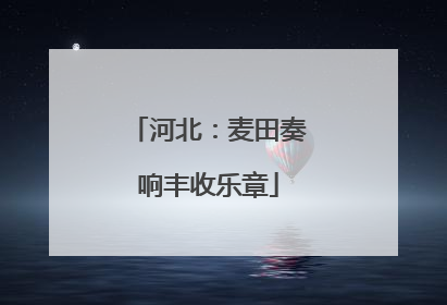 河北：麦田奏响丰收乐章