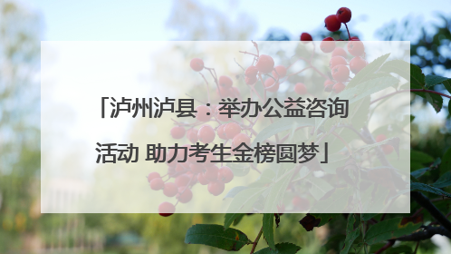 泸州泸县：举办公益咨询活动 助力考生金榜圆梦