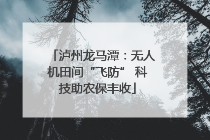 泸州龙马潭：无人机田间“飞防” 科技助农保丰收