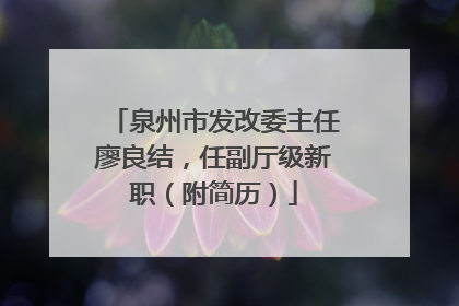 泉州市发改委主任廖良结，任副厅级新职（附简历）