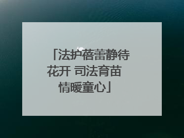 法护蓓蕾静待花开 司法育苗情暖童心