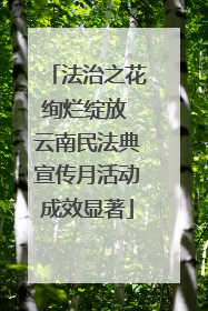 法治之花绚烂绽放 云南民法典宣传月活动成效显著