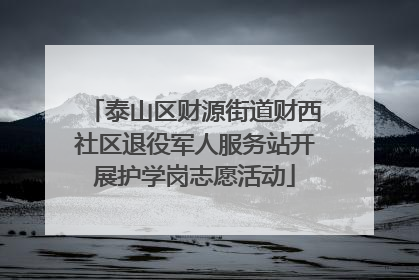 泰山区财源街道财西社区退役军人服务站开展护学岗志愿活动