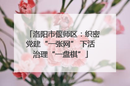 洛阳市偃师区：织密党建“一张网” 下活治理“一盘棋”