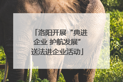 洛阳开展“典进企业 护航发展”送法进企业活动
