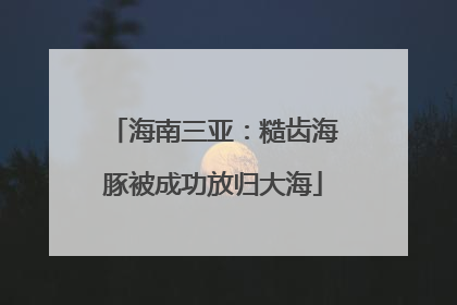 海南三亚：糙齿海豚被成功放归大海