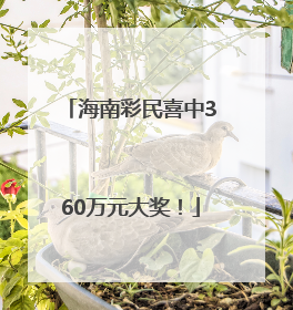 海南彩民喜中360万元大奖！