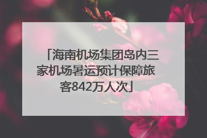 海南机场集团岛内三家机场暑运预计保障旅客842万人次