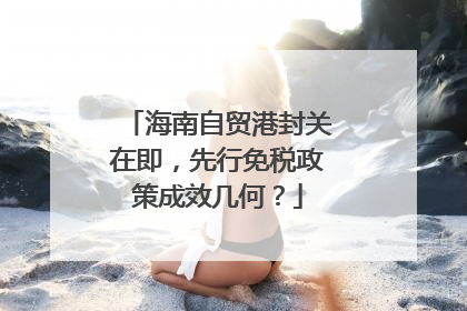 海南自贸港封关在即，先行免税政策成效几何？