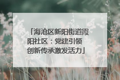 海沧区新阳街道霞阳社区：党建引领 创新传承激发活力