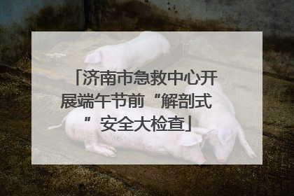 济南市急救中心开展端午节前“解剖式”安全大检查
