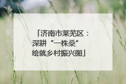 济南市莱芜区：深耕“一株桑” 绘就乡村振兴图