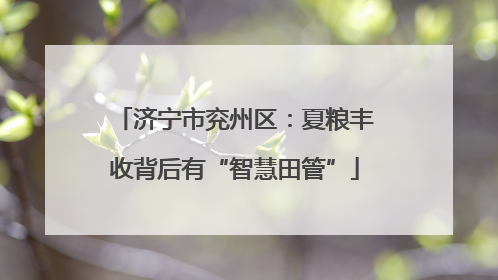 济宁市兖州区：夏粮丰收背后有“智慧田管”