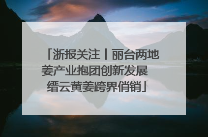 浙报关注丨丽台两地姜产业抱团创新发展 缙云黄姜跨界俏销