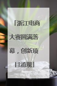 浙江电商大赛圆满落幕,创新项目涌现