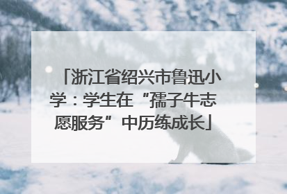浙江省绍兴市鲁迅小学：学生在“孺子牛志愿服务”中历练成长