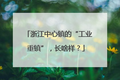 浙江中心镇的“工业重镇”，长啥样？