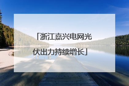 浙江嘉兴电网光伏出力持续增长