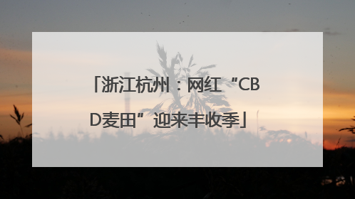 浙江杭州：网红“CBD麦田”迎来丰收季