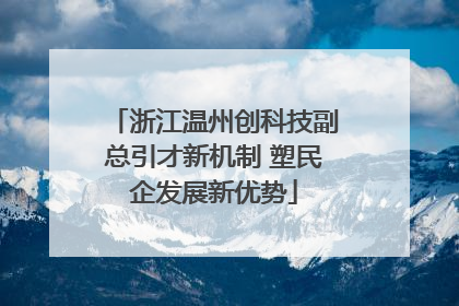 浙江温州创科技副总引才新机制 塑民企发展新优势