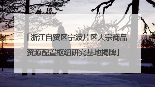 浙江自贸区宁波片区大宗商品资源配置枢纽研究基地揭牌