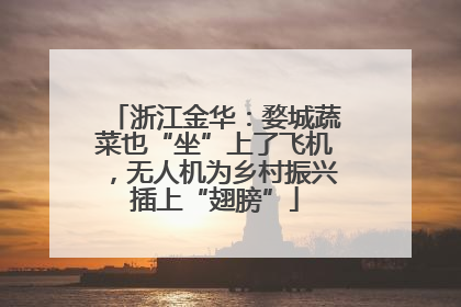 浙江金华：婺城蔬菜也“坐”上了飞机，无人机为乡村振兴插上“翅膀”