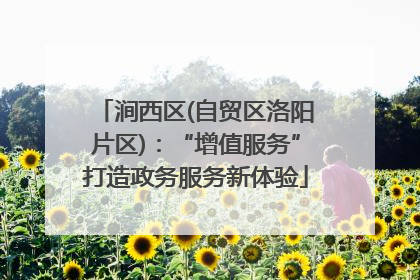 涧西区(自贸区洛阳片区)：“增值服务”打造政务服务新体验