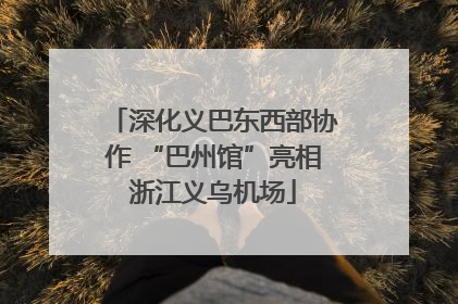 深化义巴东西部协作 “巴州馆”亮相浙江义乌机场