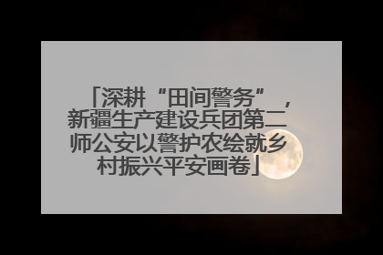 深耕“田间警务”，新疆生产建设兵团第二师公安以警护农绘就乡村振兴平安画卷