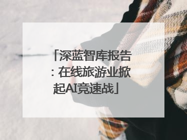 深蓝智库报告：在线旅游业掀起AI竞速战