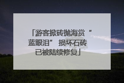 游客掀砖抛海赏“蓝眼泪” 损坏石砖已被陆续修复