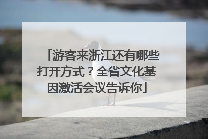 游客来浙江还有哪些打开方式？全省文化基因激活会议告诉你