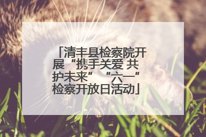 清丰县检察院开展“携手关爱 共护未来”“六一”检察开放日活动