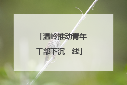 温岭推动青年干部下沉一线