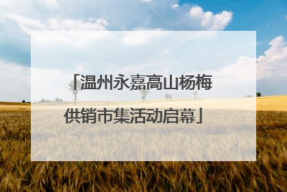 温州永嘉高山杨梅供销市集活动启幕