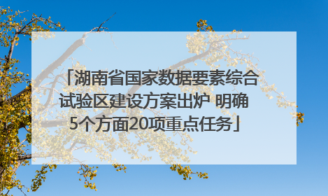 湖南省国家数据要素综合试验区建设方案出炉 明确5个方面20项重点任务