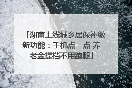 湖南上线城乡居保补缴新功能：手机点一点 养老金提档不用跑腿