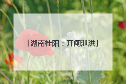 湖南桂阳：开闸泄洪