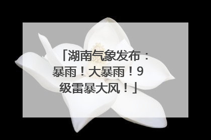 湖南气象发布：暴雨！大暴雨！9级雷暴大风！