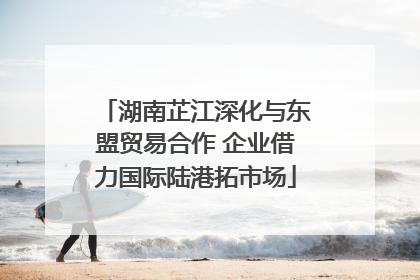 湖南芷江深化与东盟贸易合作 企业借力国际陆港拓市场