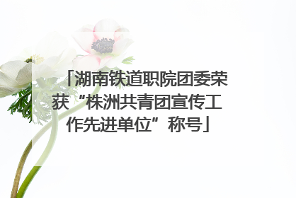 湖南铁道职院团委荣获“株洲共青团宣传工作先进单位”称号