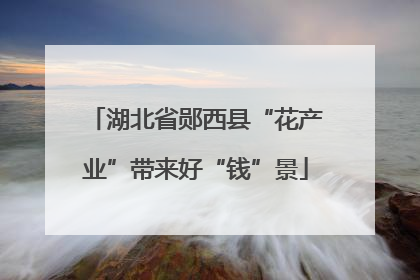 湖北省郧西县“花产业”带来好“钱”景