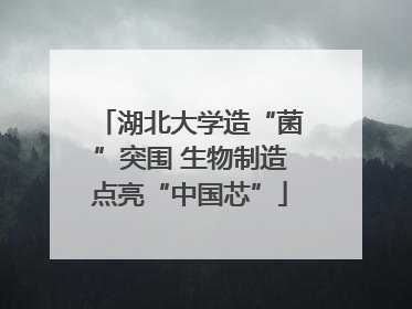 湖北大学造“菌”突围 生物制造点亮“中国芯”