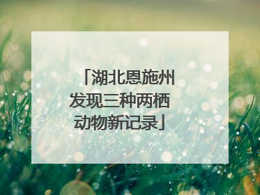 湖北恩施州发现三种两栖动物新记录