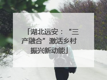 湖北远安：“三产融合”激活乡村振兴新动能